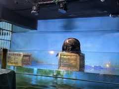 -常州海昌海洋探索馆
