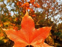 -长辛店二七公园