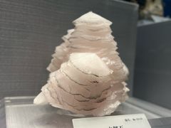 -湖南省地质博物馆