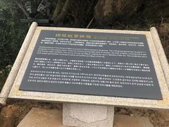 -莆田湄洲妈祖祖庙