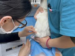 -宠颐生中康贝怡动物医院