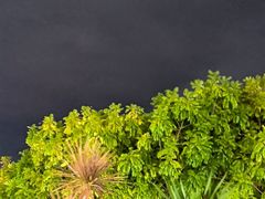 -故里和山·成都火锅(欢乐港湾店)