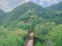 -大岭沟猕猴桃谷风景区