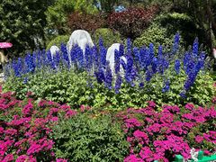 -青藏高原野生动物园