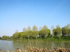 -滨湖塘西河公园