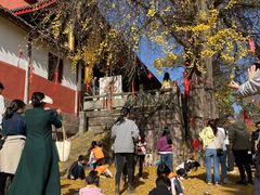 -金堂县云顶石城风景区