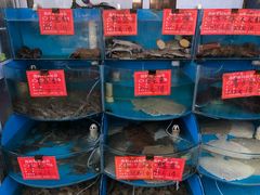 -北戴河庆山饭店·海鲜砂锅粥(北戴河黑石路店)