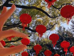 -狼山风景名胜区