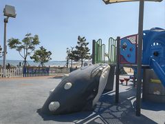 -青岛金沙滩