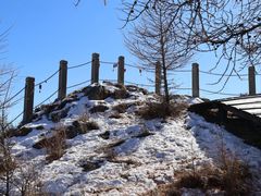 -苏木山森林公园