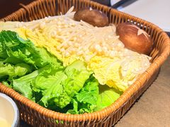 -同仁四季椰子鸡(宝安壹方城店)