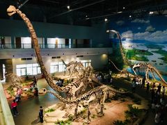 -自贡恐龙博物馆