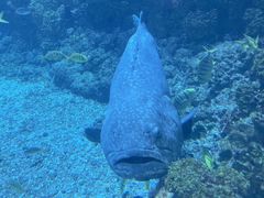 -海合安青岛极地海洋公园