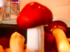 -盒马鲜生(双清路店)