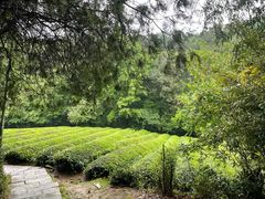 -敬亭山风景名胜区