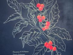 -星巴克臻选(莘庄仲盛店)