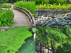 -成都市活水公园