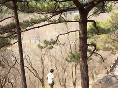 -北京十三陵国家森林公园蟒山景区