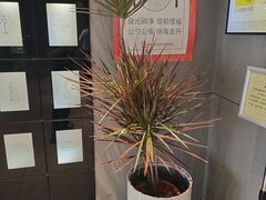 -麦当劳(祈年大街店)