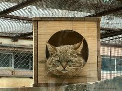 -青藏高原野生动物园