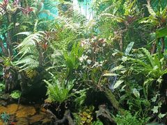 -太平洋海底世界