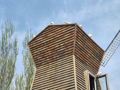 -长白岛森林公园