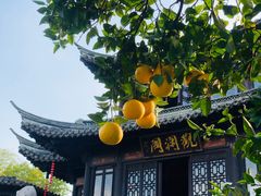 -口岸雕花楼