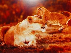 -罗红摄影艺术馆