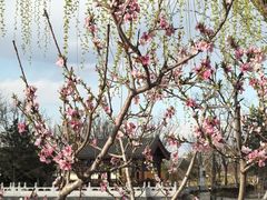 -西海子公园