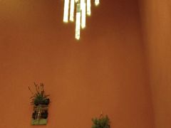 -泰古龙抓龙筋·spa按摩(静安店)