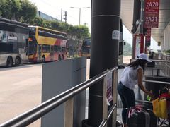 -利强记北角鸡蛋仔(弥敦道店 )