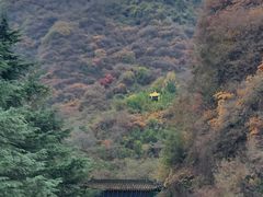 -陕西省红河谷森林公园