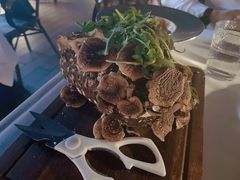 蘑菇树-Kathleen's Waitan 凯圣琳江景西餐厅(外滩店)