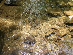 -宁波五龙潭景区