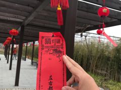-菊园百果园