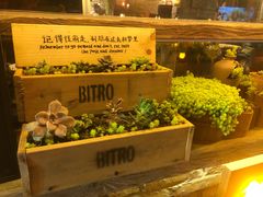 -清水湖度假村(罗浮山美食地标店)