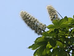 -北京植物园-展览温室