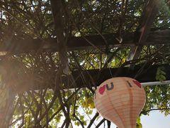 -望海·帆船主题咖啡厅•品茗下午茶(石湖景区店)