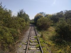 -西青郊野公园