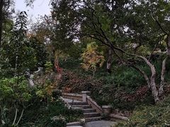 -大连植物园