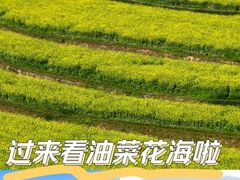 -光明小镇欢乐田园