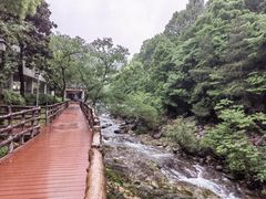 -黄山翡翠谷景区