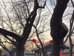 -北京国子监胡同