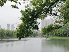 -宝岛公园
