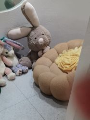 -薇薇安花系SPA