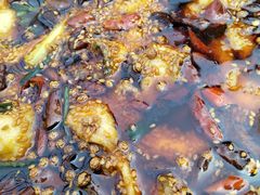 -胖子鱼·天水麻辣鱼火锅(秦州407店)