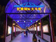 -广州长隆国际大马戏