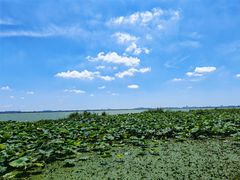 -七的湖·晚芳亭·阳澄湖农家菜·大闸蟹(莲花岛店)
