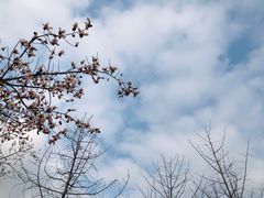 -洨河生态公园
