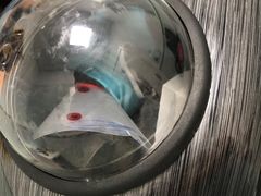 -宠福鑫康馨动物医院·骨科·眼科